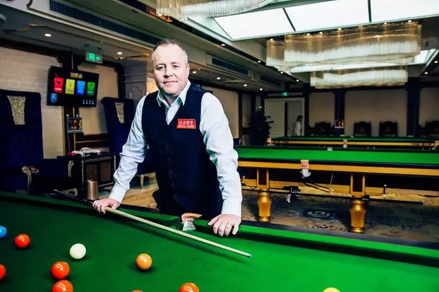 透过本届鸟 透过本届鸟