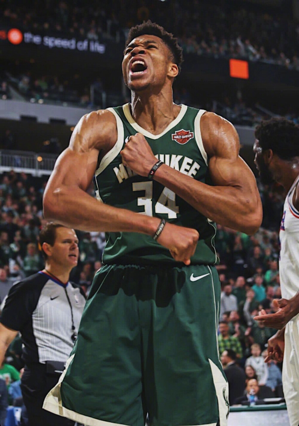 才能证明这 才能证明这